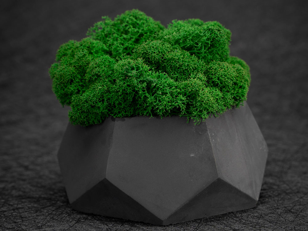 Кашпо бетонное со мхом (альфа-антрацит мох зеленый), QRONA